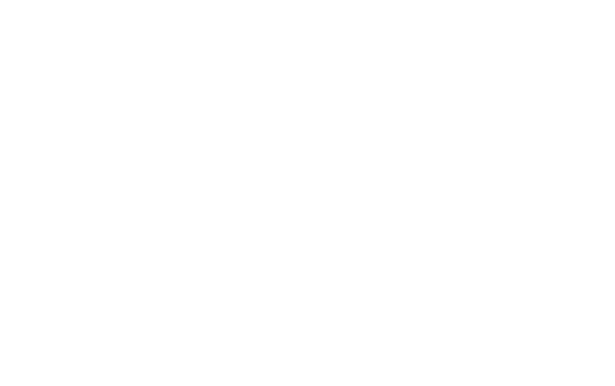 expo-digit